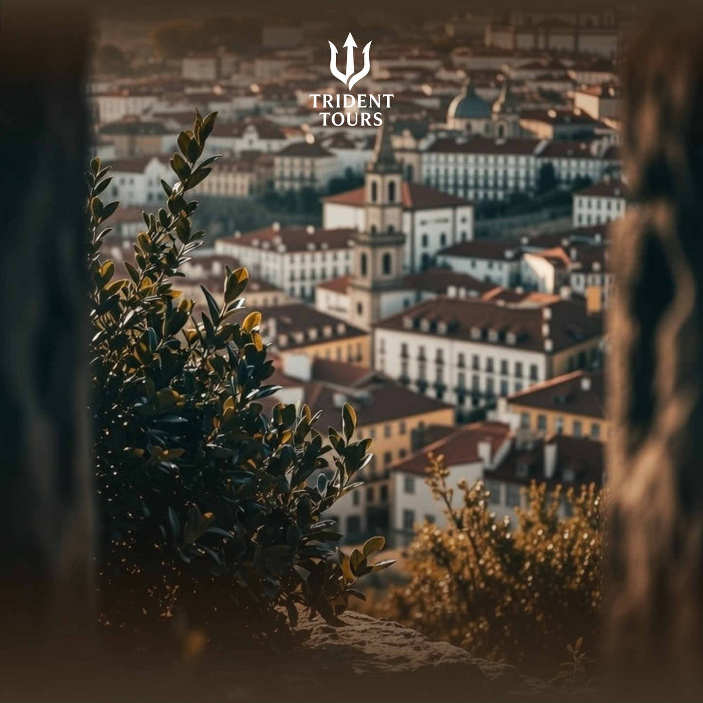 The Italy Experience